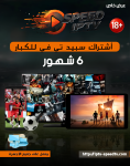 اشتراك سبيد باقة الكبار 6 اشهر